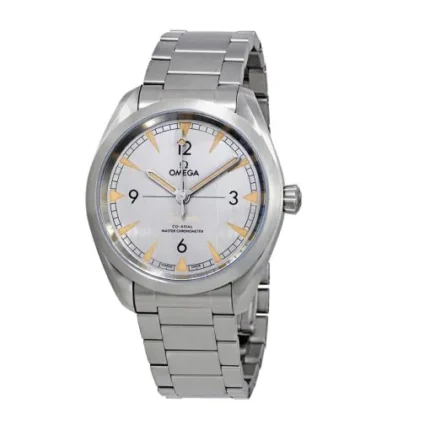 Omega Seamaster Railmaster 220.10.40.20.06.001 Grey Replica