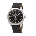 Omega Seamaster 220.12.40.20.01.001 Railmaster Black Dial Replica